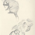monkey-and-red-panda monkey-and-red-panda