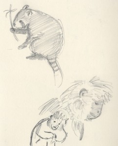 monkey-and-red-panda