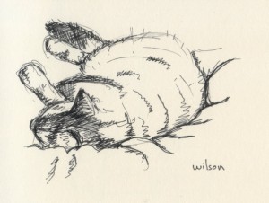 wilson wilson