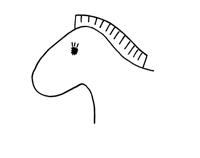 eye